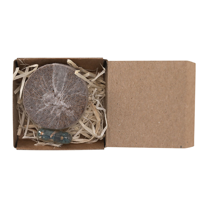 Plantable set - Image 6